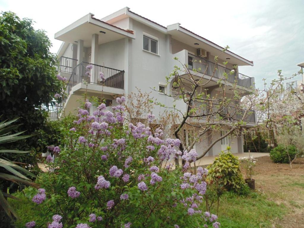 Apartments Macaso Bar Exterior foto